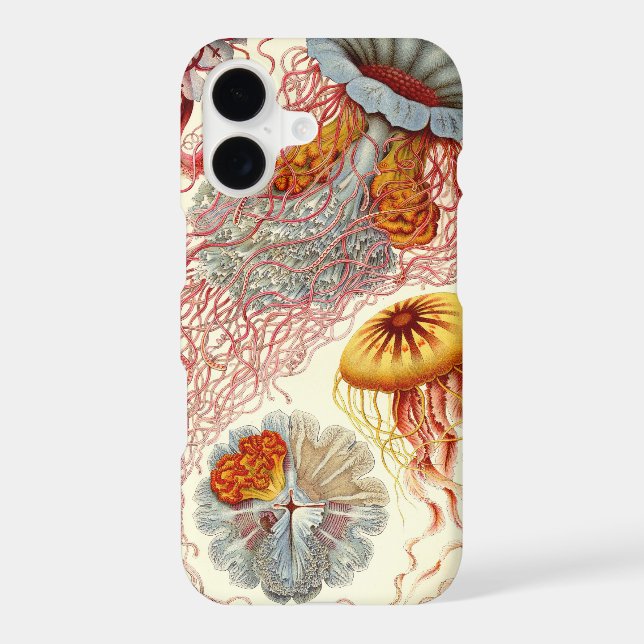 Vintage Haeckel Jellyfish (Back)