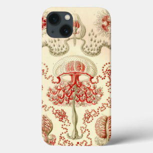 Vintage Haeckel Jellyfish iPhone 13 Case