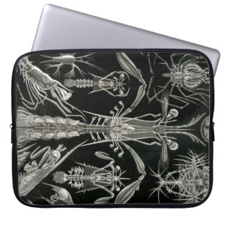 Vintage Haeckel Laptop Sleeve