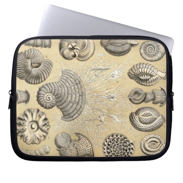 Vintage Haeckel Laptop Sleeve (Front)