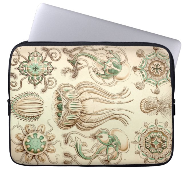 Vintage Haeckel Laptop Sleeve (Front)