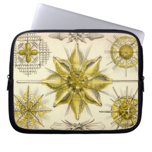 Vintage Haeckel Laptop Sleeve