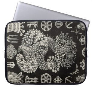 Vintage Haeckel Laptop Sleeve
