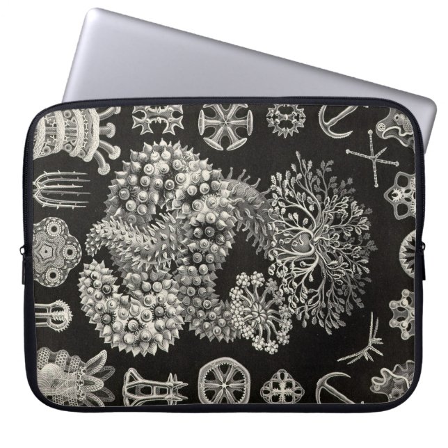 Vintage Haeckel Laptop Sleeve (Front)