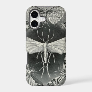 Vintage Haeckel Moth