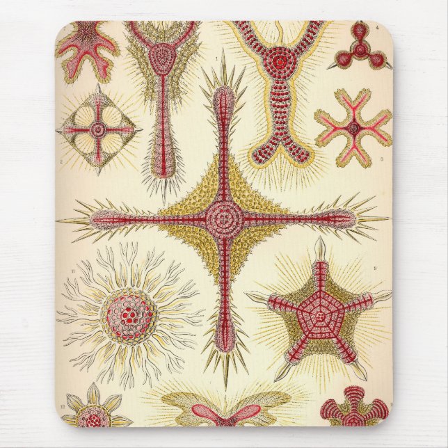 Vintage Haeckel Mouse Mat (Front)