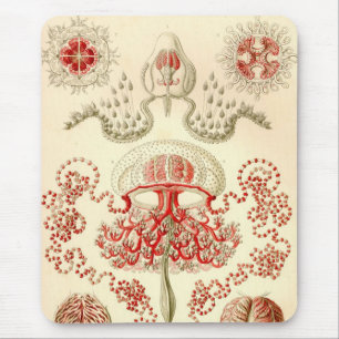 Vintage Haeckel Mouse Mat