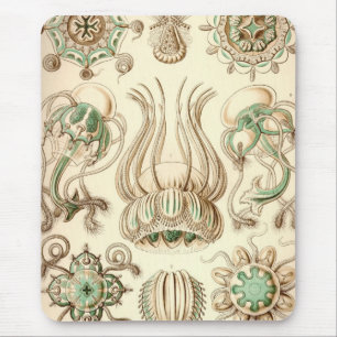 Vintage Haeckel Mouse Mat