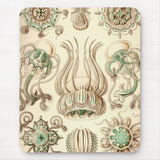 Vintage Haeckel Mouse Mat (Front)