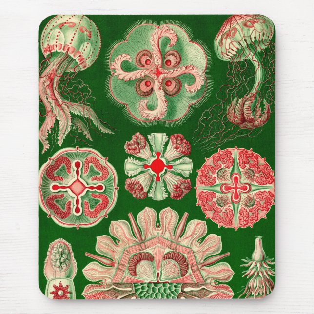 Vintage Haeckel Mouse Mat (Front)