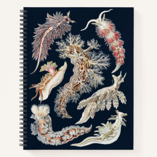 Vintage Haeckel Nudibranch Ocean Art Notebook