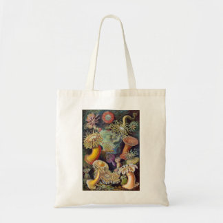 Vintage Haeckel Sea Anemone Tote Bag