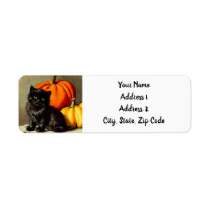 Vintage Halloween Black Cat and Pumpkins