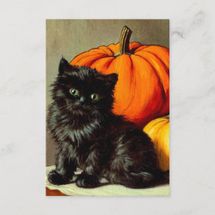Vintage Halloween Black Cat and Pumpkins Enclosure Card