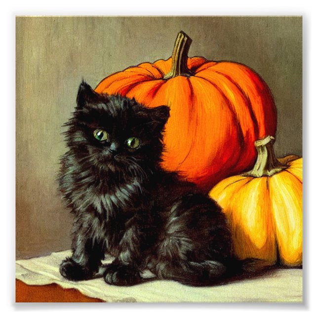Vintage Halloween Black Cat and Pumpkins Photo Print (Front)