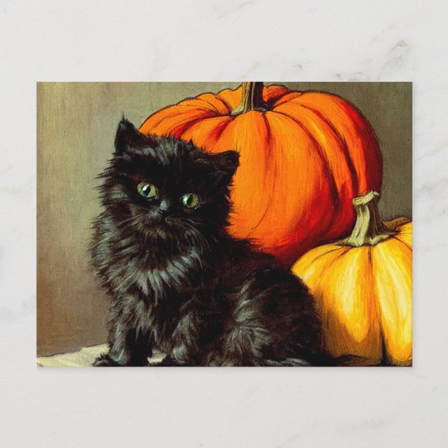 Vintage Halloween Black Cat and Pumpkins Postcard (Front)
