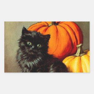 Vintage Halloween Black Cat and Pumpkins Rectangular Sticker