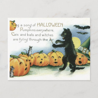 Vintage Halloween Black Cat Mice Mouse Postcard
