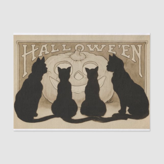 Vintage Halloween black cat party tissue Tissue Paper (Front)