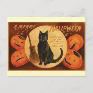 Vintage Halloween Black Cat Postcard