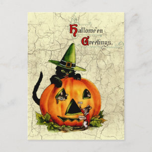 Vintage Halloween Black Cat Postcard