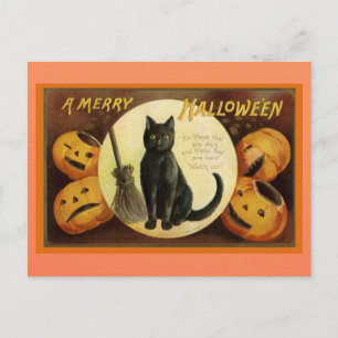 Vintage Halloween Black Cat Pumpkin Victorian Poem Postcard