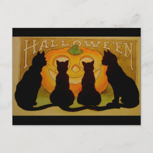 Vintage Halloween Black Cats and Jack O'Lantern Postcard