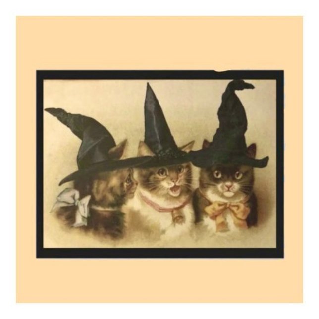 Vintage Halloween Black Cats Postcard (Creator Uploaded)
