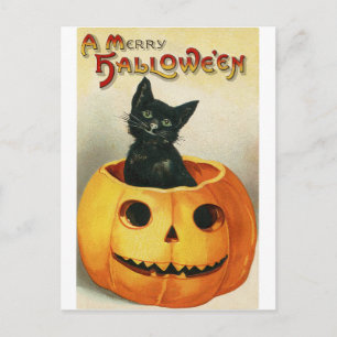 Vintage Halloween Card   Black Cat in Pumpkin
