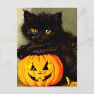 Vintage Halloween Cat and Jack-o’-lantern Postcard