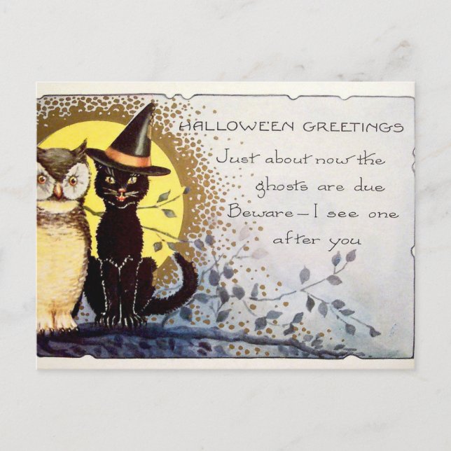 Vintage Halloween cat and owl postcard (Front)