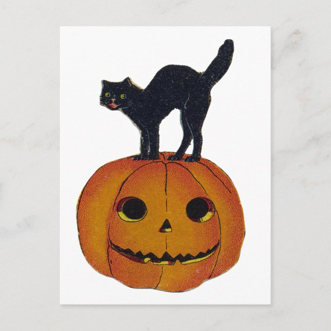 Vintage Halloween Cat Postcard (Front)