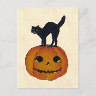 Vintage Halloween Cat Postcard