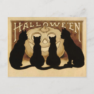 Vintage Halloween Cats Postcard