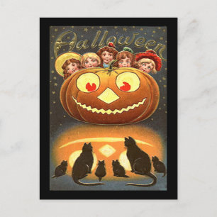 Vintage Halloween Children and Cats Postcard