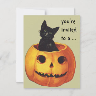 Vintage Halloween, Cute Black Cat in a Pumpkin Invitation