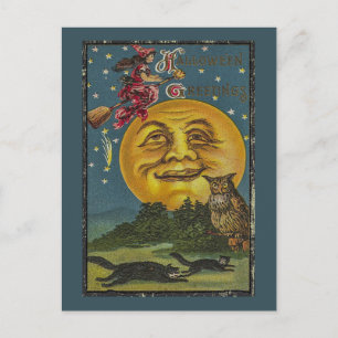 Vintage Halloween Funny Owl Illustration Postcard