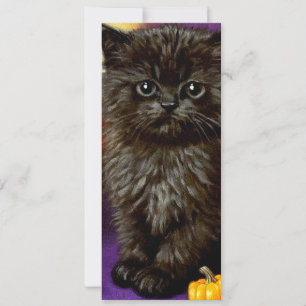 Vintage Halloween Kitten Invitation