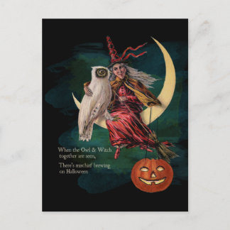 Vintage Halloween Owl and Witch Postcard