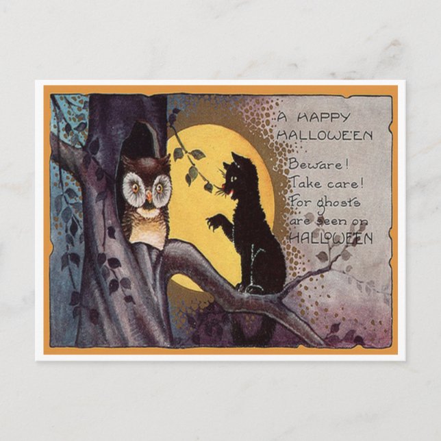 Vintage Halloween Owl & Cat Postcard (Front)