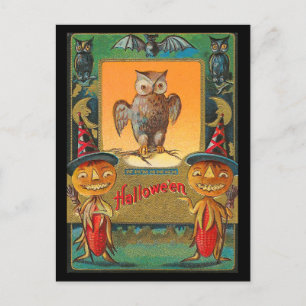 Vintage Halloween Owl Postcard