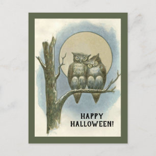 Vintage Halloween Pair of Owls Sitting Night Moon Holiday Postcard