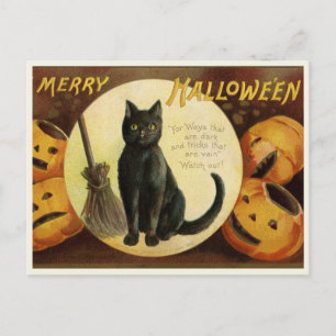 Vintage Halloween Postcard