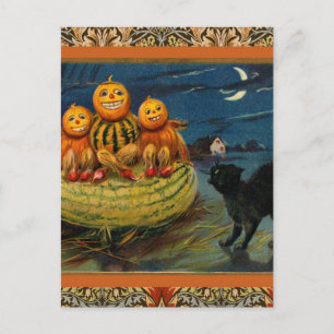Vintage Halloween Pumpkins Black Cat Invitation Postcard