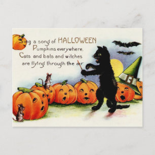 Vintage Halloween Singing Pumpkins Cat Post Card