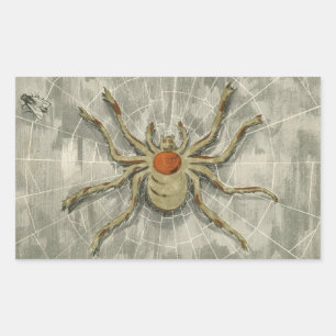 Vintage Halloween Spider in Her Web with a Fly Rectangular Sticker