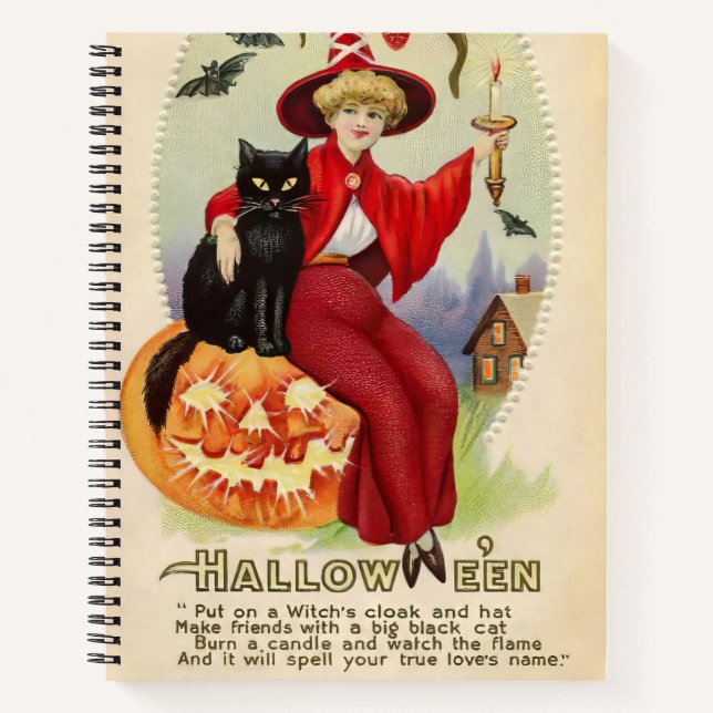 Vintage Halloween Witch and Black Cat Notebook (Front)