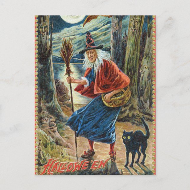 Vintage Halloween witch black cat postcard (Front)
