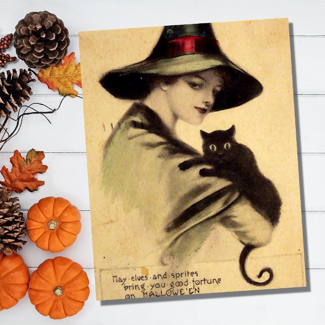 Vintage Halloween Witch Holding Black Cat Postcard (Creator Uploaded)