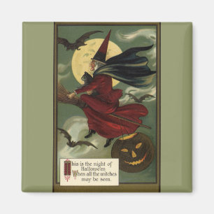 Vintage Halloween Witch Riding a Broom with Cat Magnet